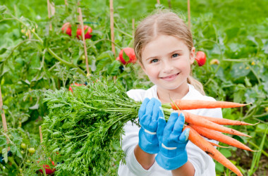 12 ventajas y 4 desventajas de los alimentos orgánicos