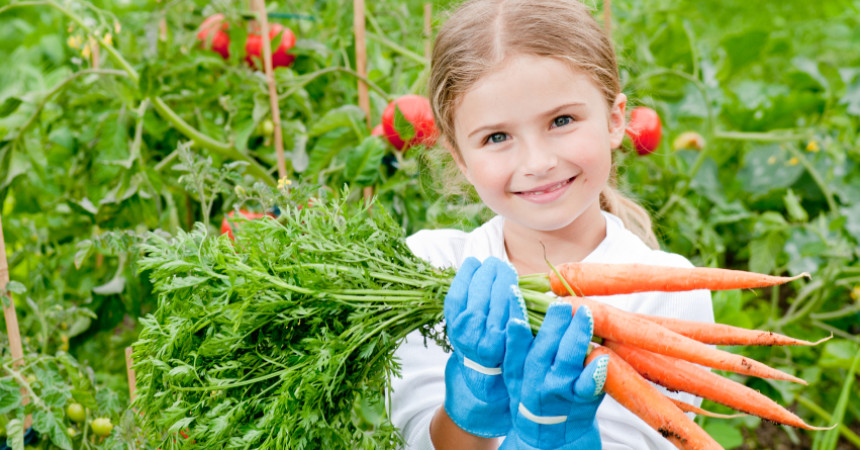 12 ventajas y 4 desventajas de los alimentos orgánicos 12 ventajas y 4 desventajas de los alimentos orgánicos