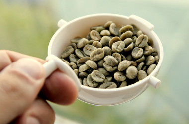 Café verde: la poción mágica para nuestro cuerpo