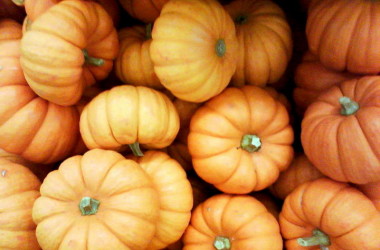 8 propiedades de la calabaza y una receta deliciosa