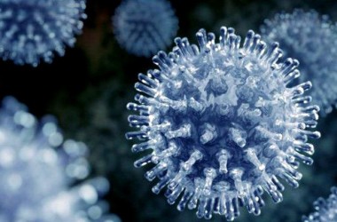 Crean una macromolécula para destruir todos los virus