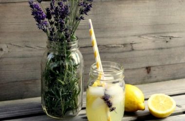 ¿Sabías que la lavanda posee beneficios para tu salud?