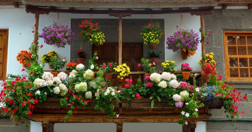 5 ideas imperdibles para mantener la fachada de tu casa 5 ideas imperdibles para mantener la fachada de tu casa