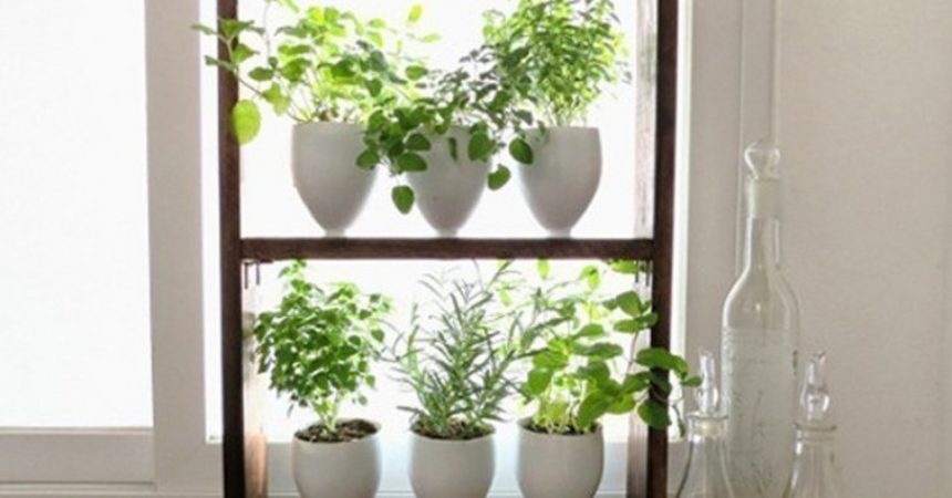 Ideas para hacer un jardín aromático vertical Ideas para hacer un jardín aromático vertical